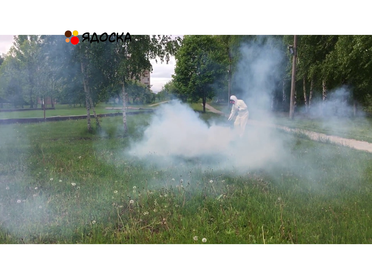 Уничтожение клещей и комаров на участках обработка от ос в Волоколамске - 1