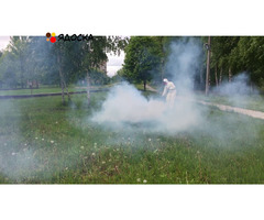 Уничтожение клещей и комаров на участках обработка от ос в Волоколамске