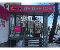 Продам готовый цветочный бизнес в центре Красноярска