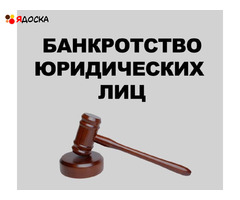 Услуги юриста по банкротству юридических лиц во Владивостоке