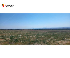 Продается земельный участок сельхозназначения в Новоселицком районе Ставропольского края