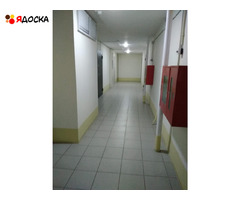 сдам 1к квартиру пр. Пионерский 60 - 8