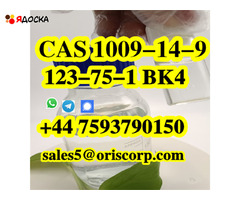 BK4 liquid CAS 1009-14-9 Factory Price Valerophenone