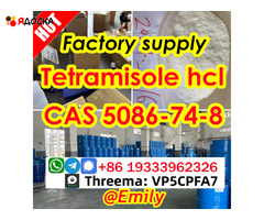 Tetramisole hydrochloride cas 5086-74-8 10 Days Arrive Global Supply - 1