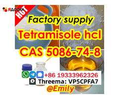 Tetramisole hydrochloride cas 5086-74-8 10 Days Arrive Global Supply - 2