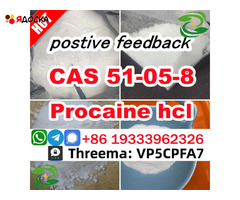 PROCAINE CAS 51-05-8 cas 59-46-1 Manufacturer Supply Best Price Security Clearance - 1