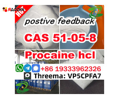 PROCAINE CAS 51-05-8 cas 59-46-1 Manufacturer Supply Best Price Security Clearance - 2
