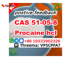 PROCAINE CAS 51-05-8 cas 59-46-1 Manufacturer Supply Best Price Security Clearance - 3