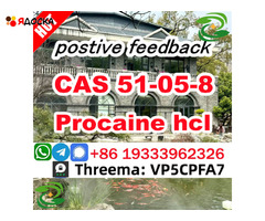 PROCAINE CAS 51-05-8 cas 59-46-1 Manufacturer Supply Best Price Security Clearance - 5