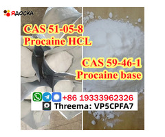 PROCAINE CAS 51-05-8 cas 59-46-1 Manufacturer Supply Best Price Security Clearance - 6