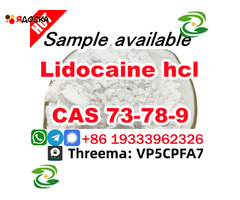 Safe Delivery Lidocaine powder CAS 73-78-9 Lidocaine Base provide Sample - 1