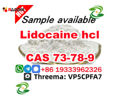 Safe Delivery Lidocaine powder CAS 73-78-9 Lidocaine Base provide Sample - 2