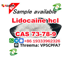 Safe Delivery Lidocaine powder CAS 73-78-9 Lidocaine Base provide Sample - 3