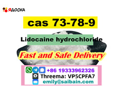 Safe Delivery Lidocaine powder CAS 73-78-9 Lidocaine Base provide Sample - 4