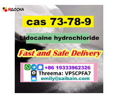 Safe Delivery Lidocaine powder CAS 73-78-9 Lidocaine Base provide Sample