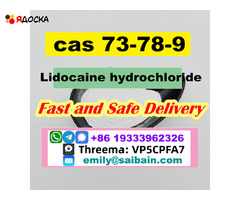 Safe Delivery Lidocaine powder CAS 73-78-9 Lidocaine Base provide Sample - 6