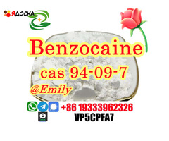 CAS 94-09-7 Benzocaine raw powder Sample available door to door