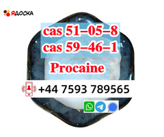 CAS 51-05-8 Powder with 99% Purity Procaine Hydrochloride Supplier Safe Transportation