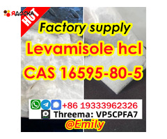 Levamisole hydrochloride cas 16595-80-5 Fast Delivery postive feedback