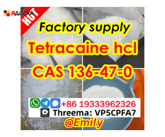 Tetracaine hydrochloride CAS 136-47-0 99 Purity Fast and Safe transportation