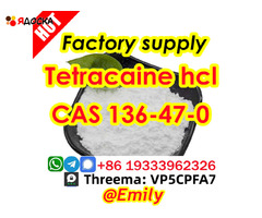 Tetracaine hydrochloride CAS 136-47-0 99 Purity Fast and Safe transportation