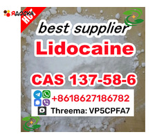 CAS 137-58-6 Lidocaine Safe transportation guarantee