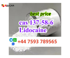 cas 137-58-6 Lidocaine powder global ship door to door