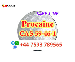high purity cas 59-46-1 Procaine powder Procaine base ship worldwide
