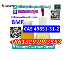 Supply BVF 2-Bromovalerophenone cas 49851-31-2 with low price moscow warehouse - 8