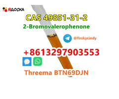 Supply BVF 2-Bromovalerophenone cas 49851-31-2 with low price moscow warehouse - 13
