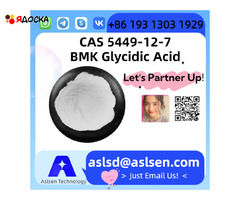 Premium BMK Glycidic Acid CAS Number: 5449-12-7