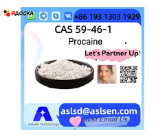Premium Procaine CAS Number: 59-46-1