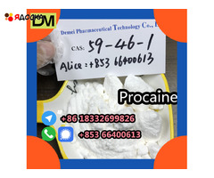 Direct Sales from China Factory CAS 59-46-1 Procaine