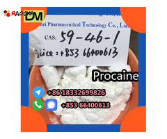 Direct Sales from China Factory CAS 59-46-1 Procaine - 6