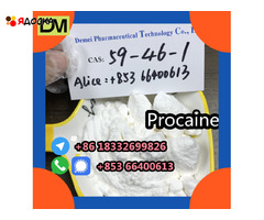 Direct Sales from China Factory CAS 59-46-1 Procaine - 7