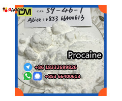 Direct Sales from China Factory CAS 59-46-1 Procaine - 9