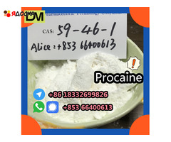 Direct Sales from China Factory CAS 59-46-1 Procaine - 12