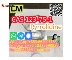 Direct Sales from China Factory CAS 123-75-1 Pyrrolidine