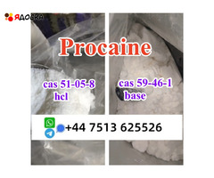 cas 59-46-1 Procaine base powder Procaine Hcl safe ship to Holland Poland