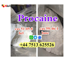 cas 59-46-1 Procaine base powder Procaine Hcl safe ship to Holland Poland