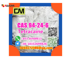 Factory Supply  CAS 94-24-6 High Quality Tetracaine