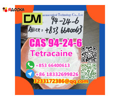 Factory Supply  CAS 94-24-6 High Quality Tetracaine