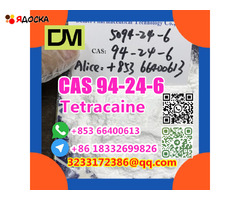 Factory Supply  CAS 94-24-6 High Quality Tetracaine