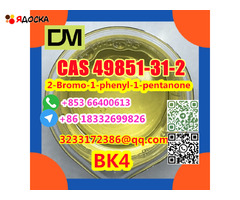 Direct Sales from China Factory CAS 49851-31-2 2-Bromo-1-phenyl-1-pentanone