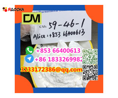 Direct Sales from China Factory CAS 59-46-1 Procaine