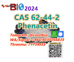 CAS 49851-31-2  2bvp  +8619030156835