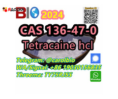 CAS 94-24-6  Tetracaine  +8619030156835