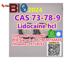 CAS 94-24-6  Tetracaine  +8619030156835