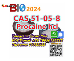 CAS 51-05-8  Procaine hcl  +8619030156835