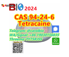 CAS 59-46-1  Procaine  +8619030156835